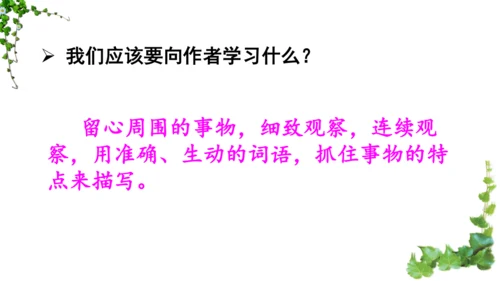 10 爬山虎的脚  课件