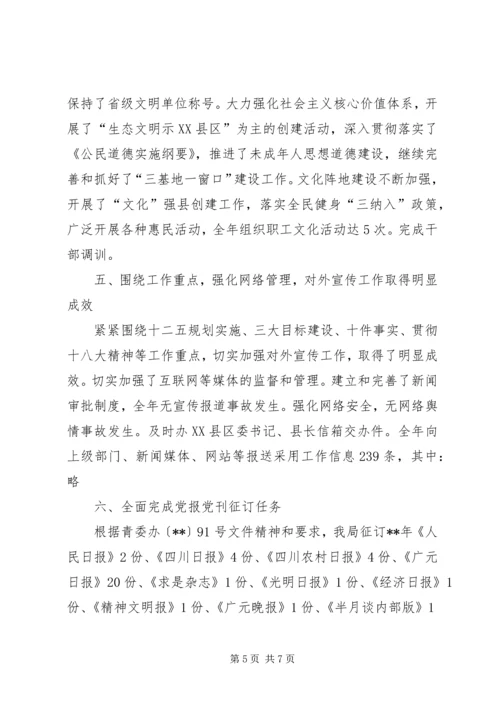 宣传思想文化工作自查报告.docx