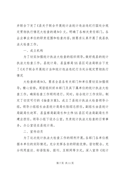 县统计执法检查自查报告.docx