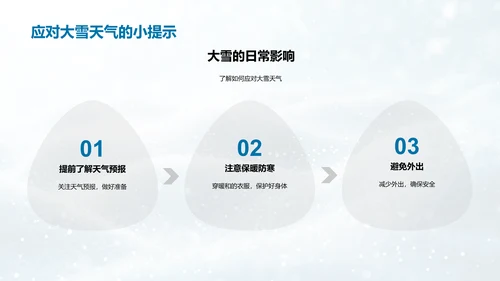 大雪节气解析PPT模板