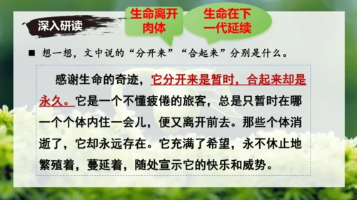 第16课 散文二篇 《永久的生命》课件