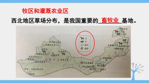 8.1 自然特征与农业（课件35张）-2024-2025学年人教版地理八年级下册