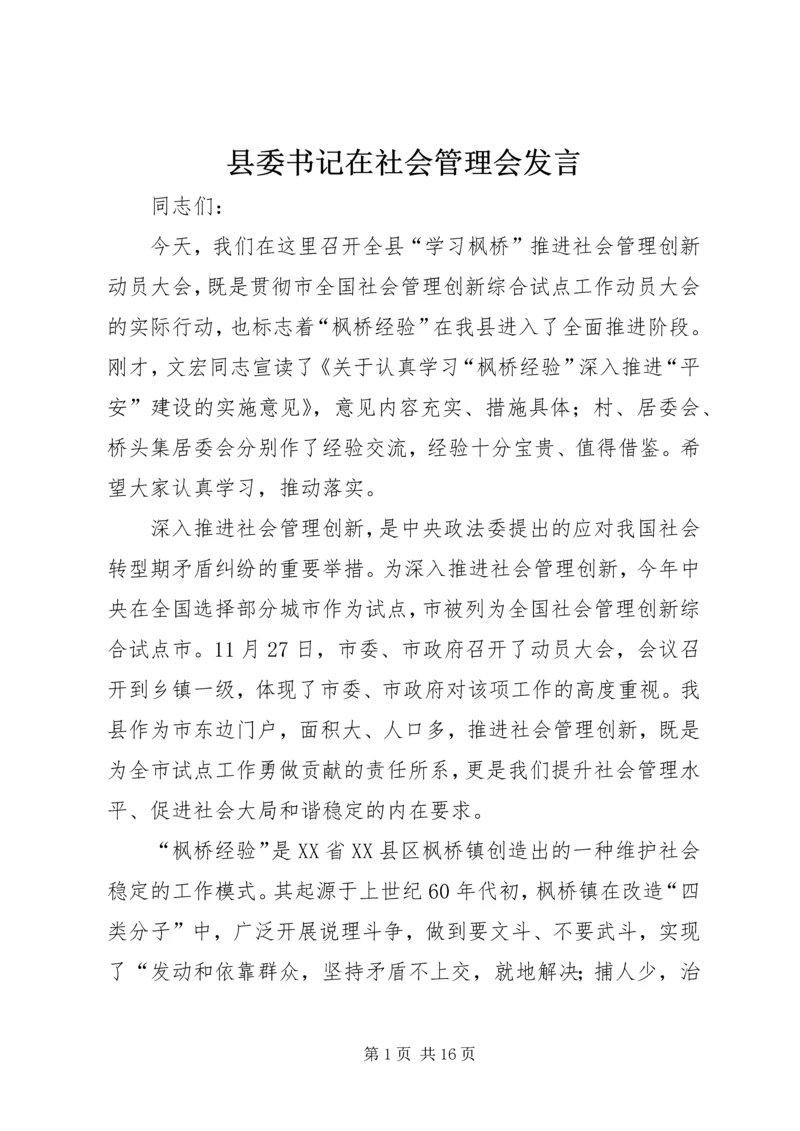 县委书记在社会管理会发言.docx