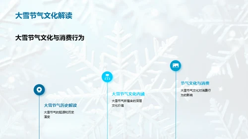 大雪营销策略解析