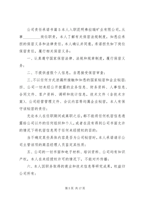 公司责任承诺书集合10篇.docx