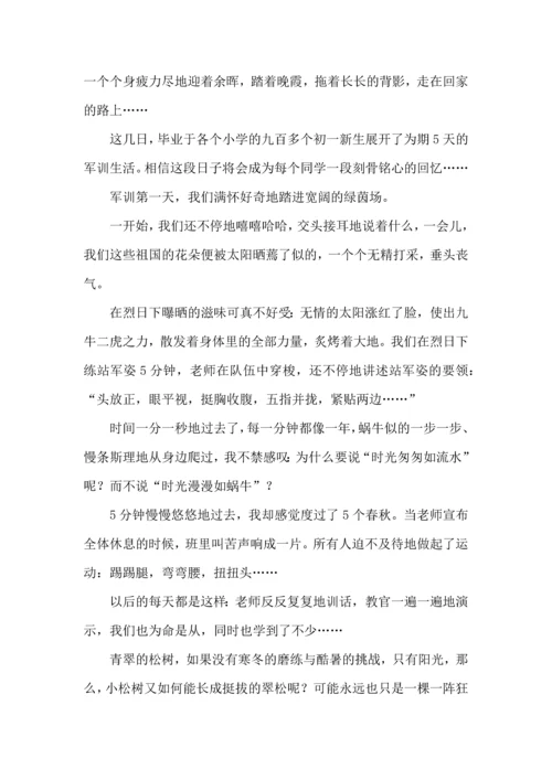 初中军训心得体会七篇（三）.docx