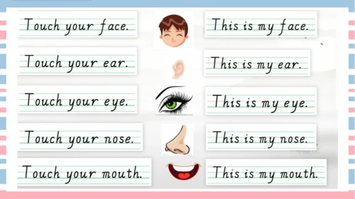 Unit 2 Face Lesson 3 课件共32张PPT)