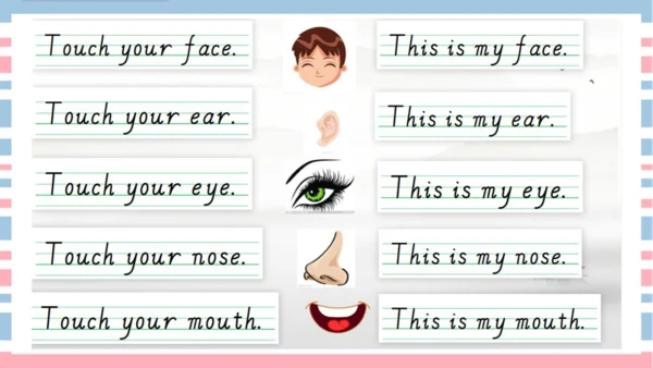 Unit 2 Face Lesson 3 课件共32张PPT)