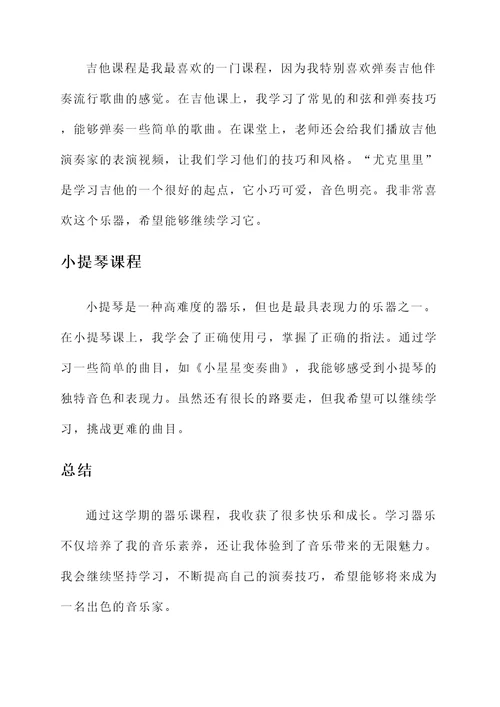 器乐课程汇报总结