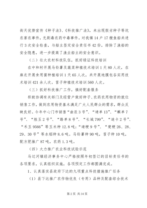 乡镇经济服务中心工作总结及某年工作计划.docx