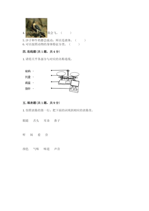 教科版小学科学一年级下册期末测试卷新版.docx