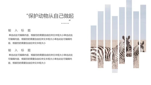 保防野生动物藏羚羊通用PPT模板