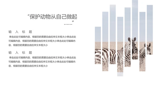 保防野生动物藏羚羊通用PPT模板