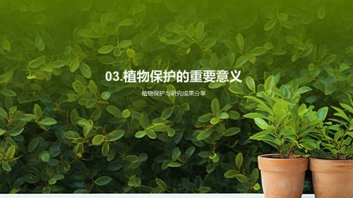 植物保护：解析与实践