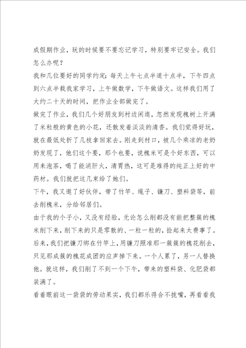暑假趣事作文450字5篇