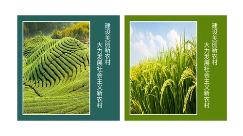 实拍笔刷风格美丽乡村农业介绍新时代农业农村现代化ppt模板