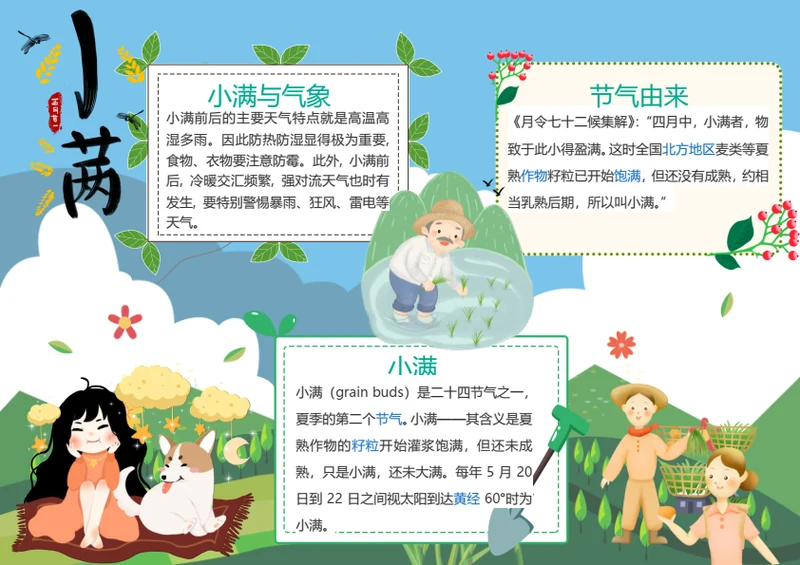 小满传统节气Word小报
