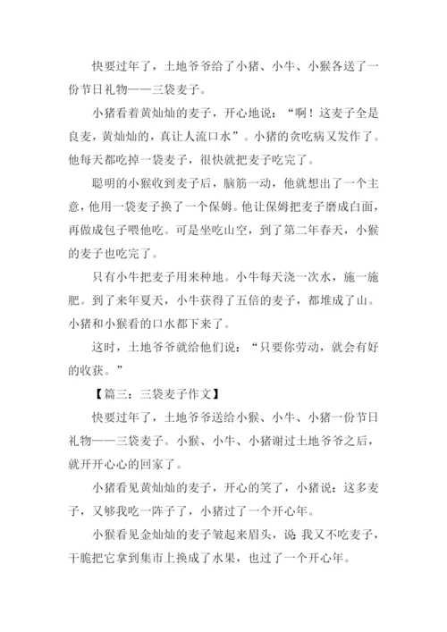 三袋麦子的作文.docx
