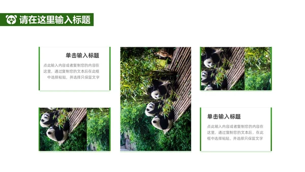 绿色实拍风保护大熊猫科普主题PPT模板