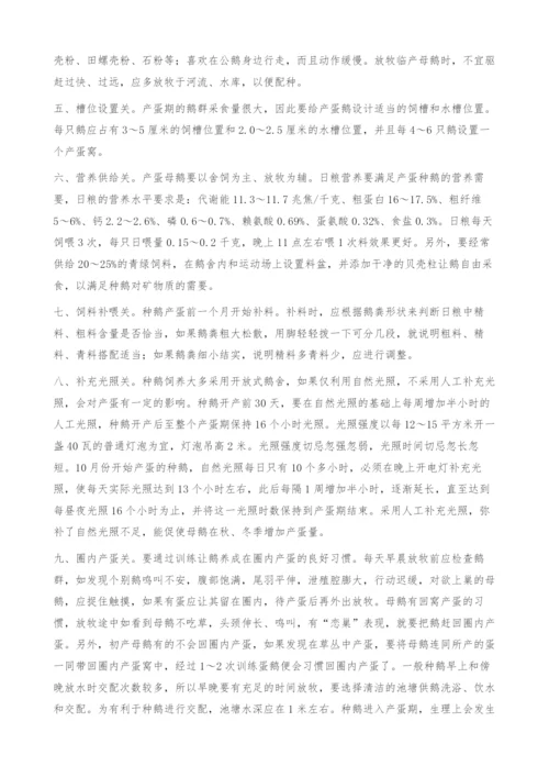 把好十关秋鹅高产.docx