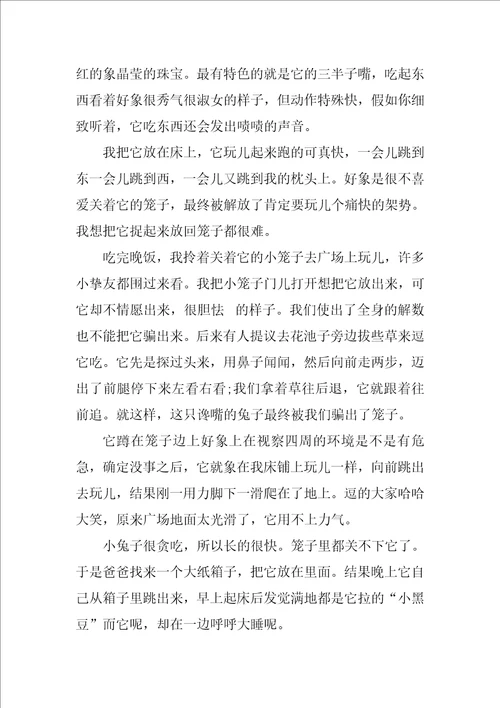 说明文作文十篇二十年后的家乡说明文作文