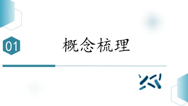 人教版生物七年级上册第一单元《生物与细胞》单元复习课件(共53张PPT)