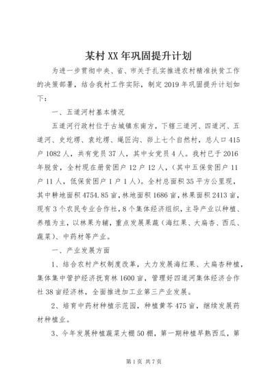 某村XX年巩固提升计划.docx