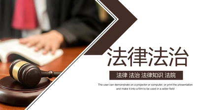 法律教育法规律师事务所法律讲堂PPT模板