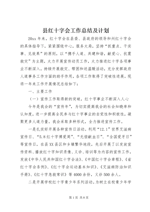 6县红十字会工作总结及计划.docx