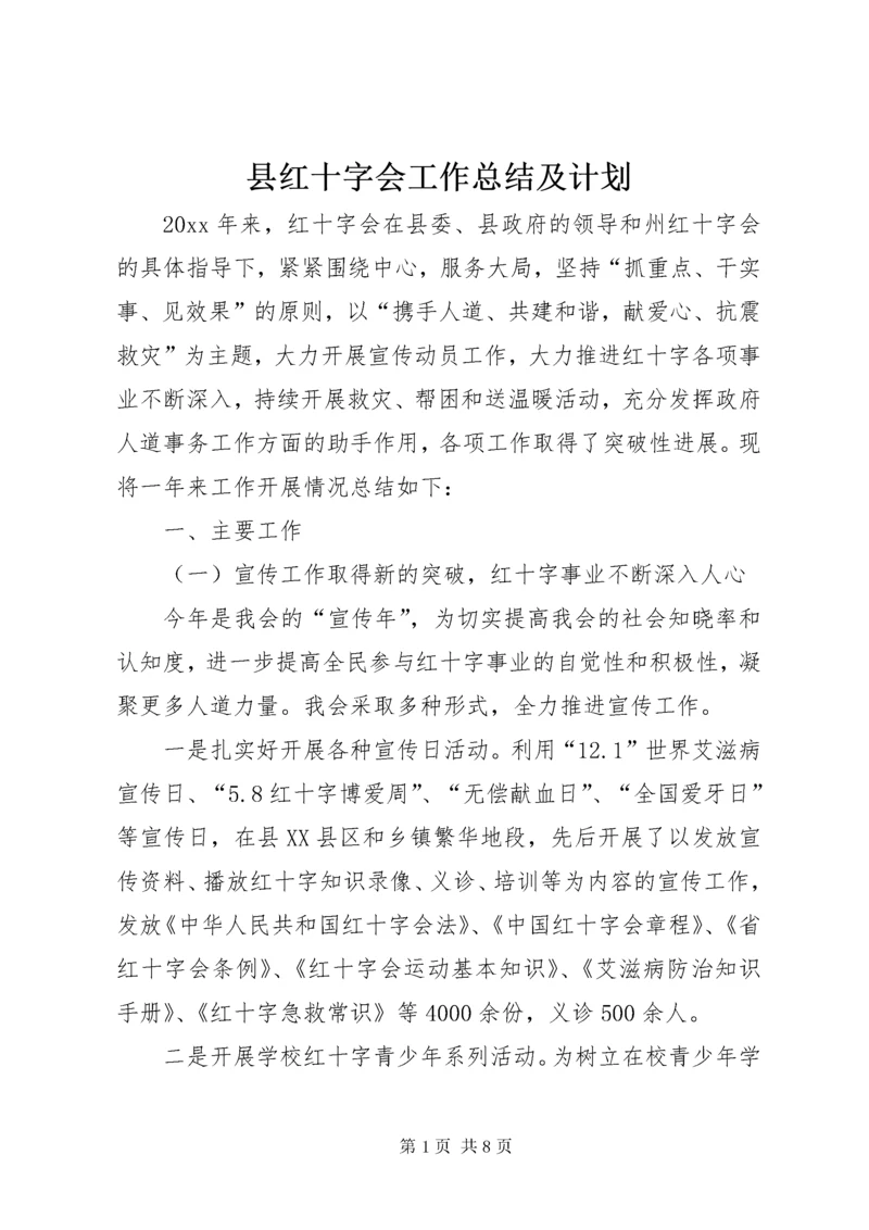 6县红十字会工作总结及计划.docx