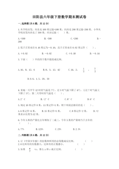 田阳县六年级下册数学期末测试卷附精品答案.docx
