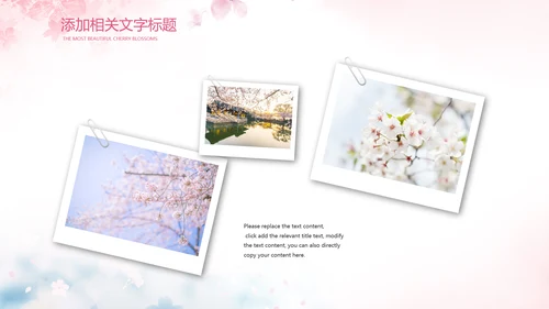 唯美浪漫十里桃花开樱花节樱花季桃花ppt
