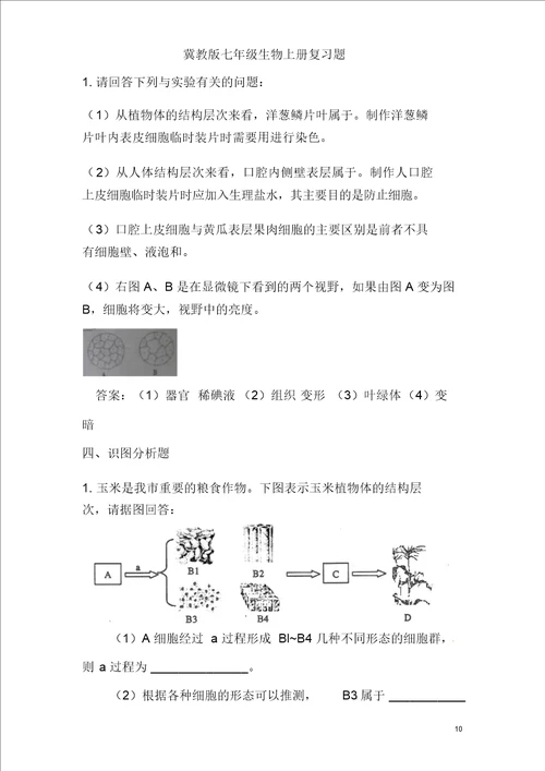 冀教版七年级生物上册复习题含答案1
