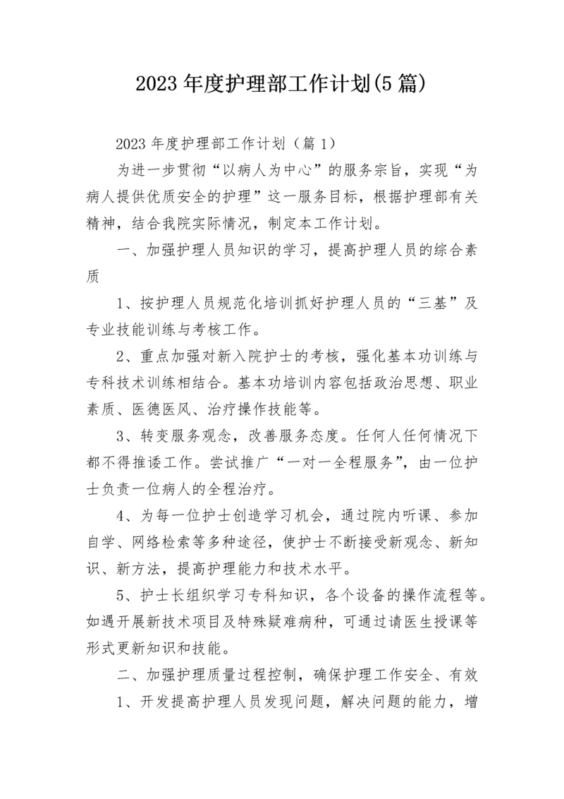 2023年度护理部工作计划(5篇).docx
