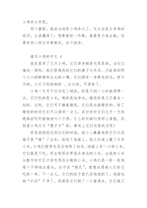 描写小鸡的作文.docx