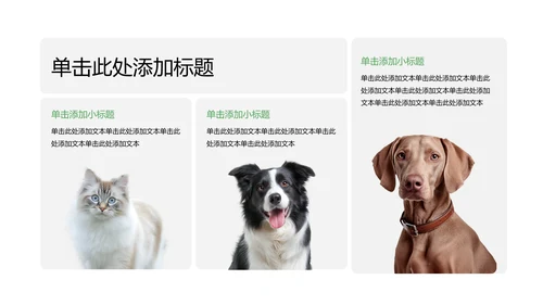 彩色简约几何风宠物行业职业介绍PPT模板