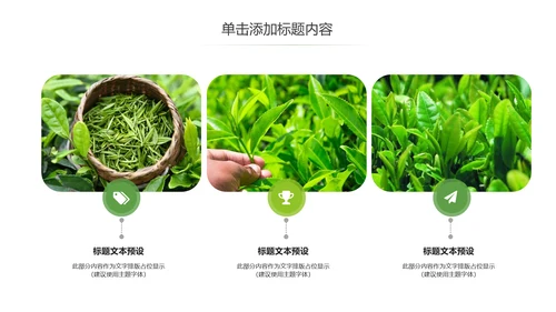 茶文化茶叶绿茶产品介绍动态PPT模板