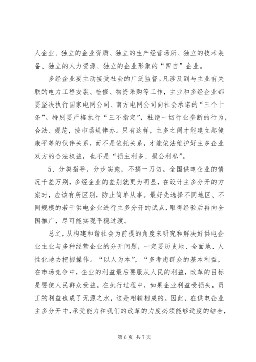 和谐发展电力调研报告.docx