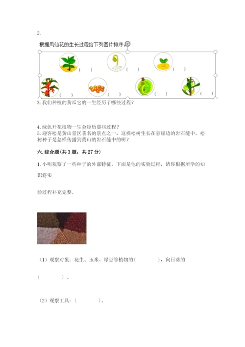 科学四年级下册第一单元植物的生长变化测试卷word版.docx