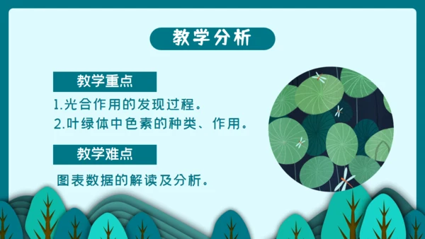 光合作用的原理和应用通用PPT模板