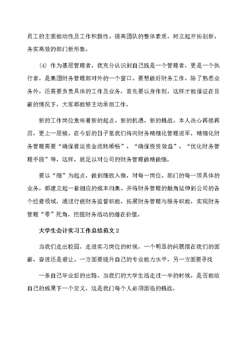 大学生会计实习工作总结范文