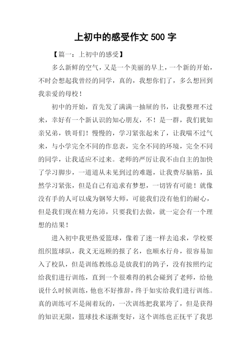 上初中的感受作文500字.docx