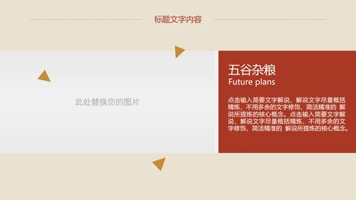 营养五谷杂粮养生食疗农产品宣传PPT模板