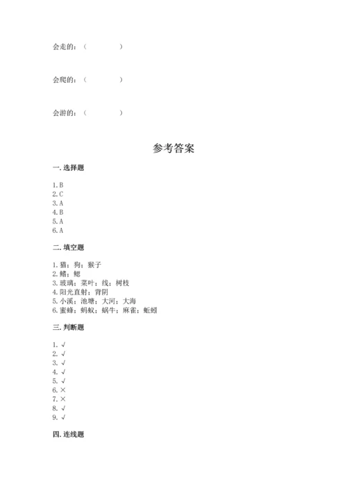 教科版一年级下册科学期末测试卷含完整答案（夺冠系列）.docx