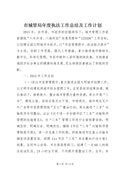 市城管局年度执法工作总结及工作计划.docx