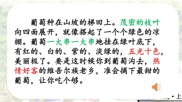 11 葡萄沟   公开课   课件