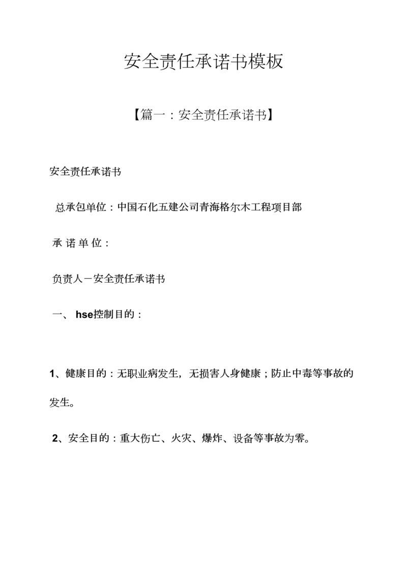 责任书之安全责任承诺书模板.docx