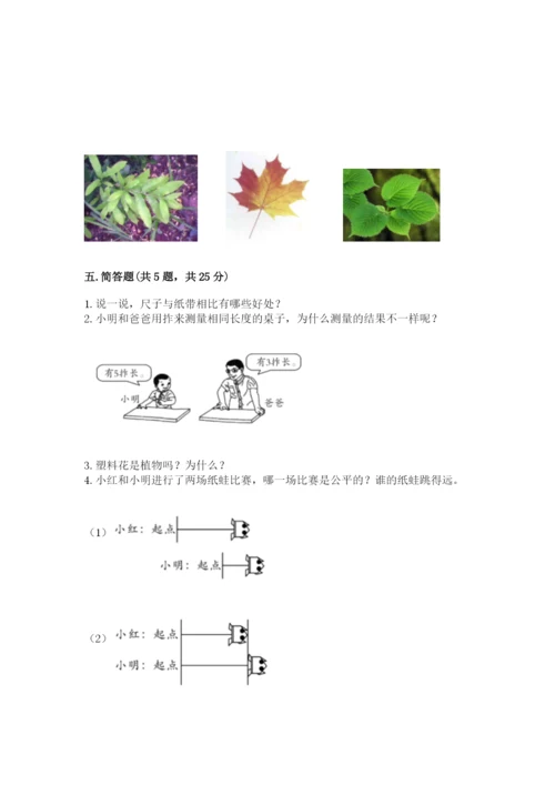 教科版一年级上册科学期末测试卷附参考答案【培优a卷】.docx