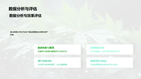 谷雨传播新实践