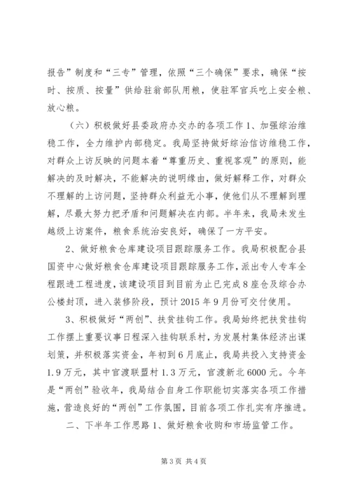 粮食局上半年工作总结及下半年工作计划 (2).docx